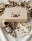 Geschenkset Otter personalisiert - Erinnerungskiste, Babyrassel, Nuggikette und 2er-Set-Dreieckstücher