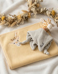 Geschenkset Erinnerungskiste, Schmusetuch und Handtuch Safari personalisiert