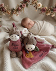Boîte à musique et doudou « Emmily l'âne » de Sterntaler