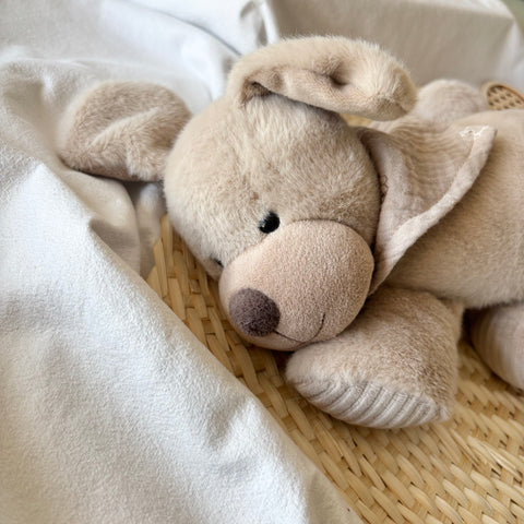 Aiuto personalizzato per addormentarsi – "Lucky il cane" di Sterntaler
