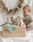 Geschenkset Bauernhof personalisiert - Erinnerungskiste, Schmusetuch, Rassel & Kuscheltier