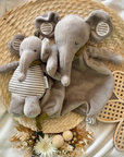 Elefant Eddy personalisiert von Sterntaler
