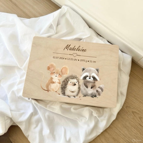 Boîte à souvenirs personnalisée « Animaux de la forêt colorés »