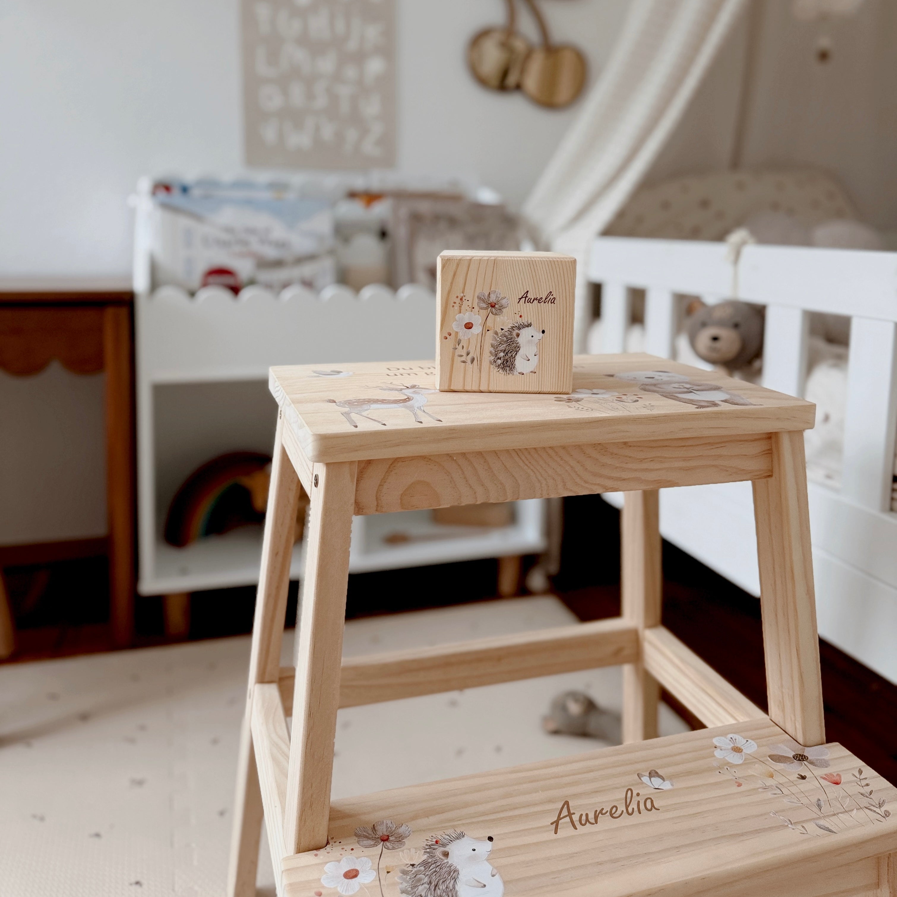 Spardose / Kässeli personalisiert Igel bunt